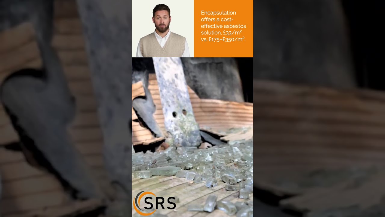 💰 How much does asbestos removal cost in 2025? 💰