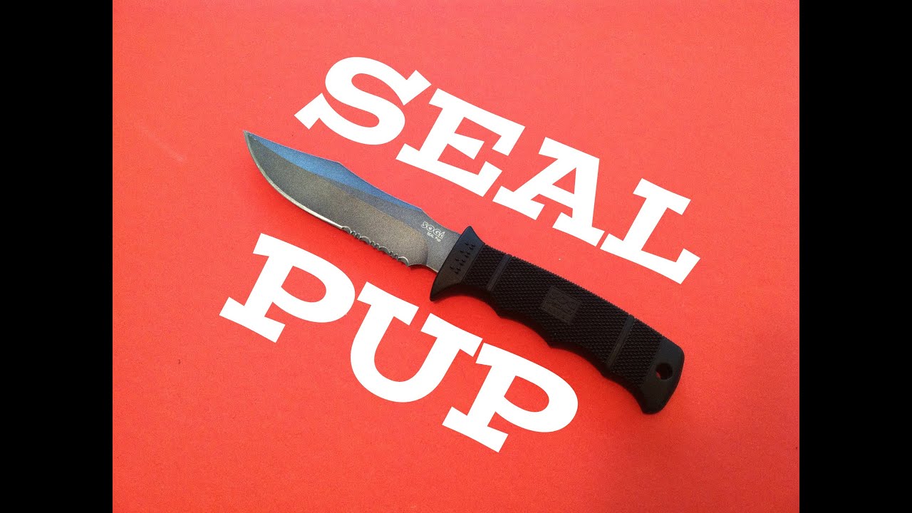 SOG Seal Pup Knife Review: One for the Hall of Champions