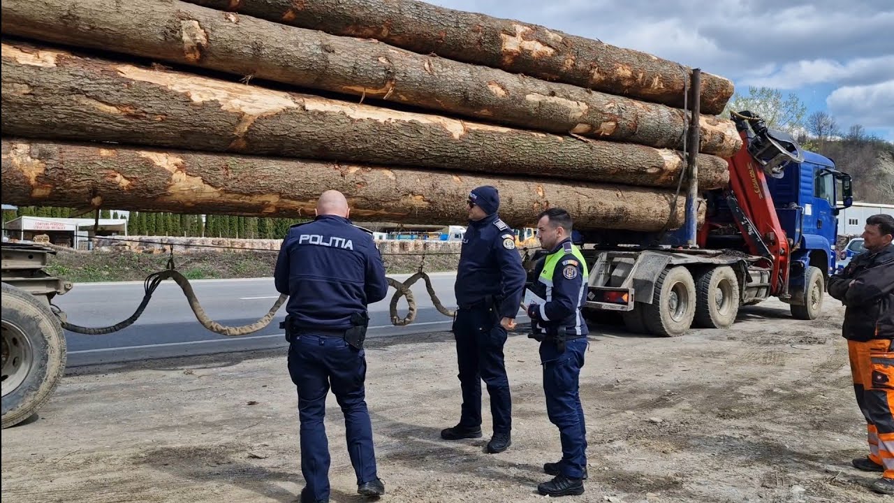 Mafia lemnului a fost lovită din nou de Cattani ! Poliția 112 și ISCTR-ul în acțiune !