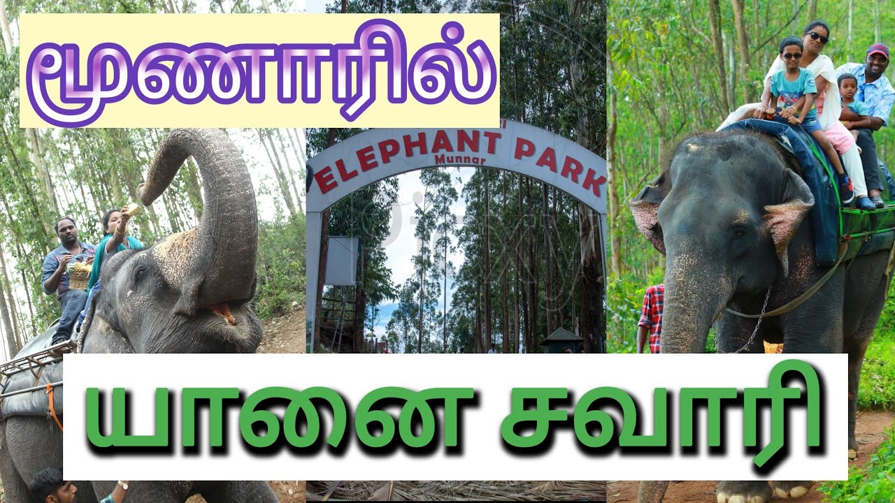 Elephant Park Munnar | Carmelagiri Elephant Park | கொஞ்சம் costly தான் Boss | Full details