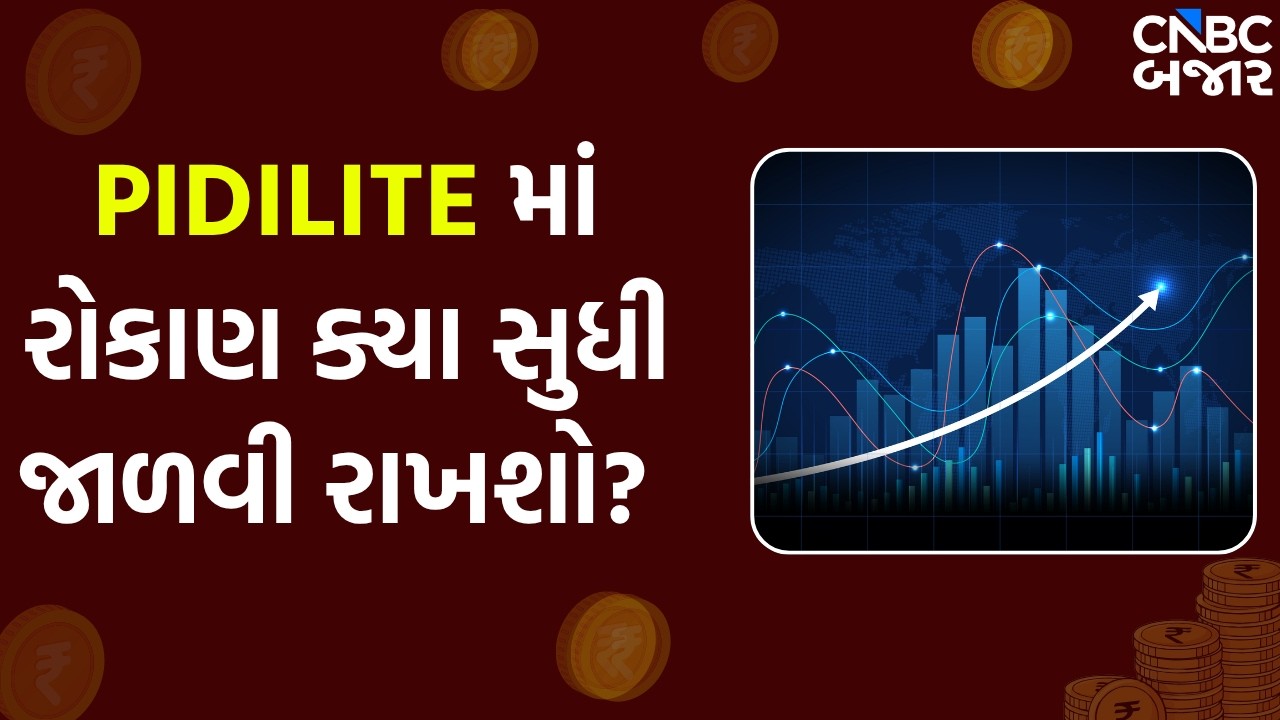 Pidilite Results Today: Pidilite માં રોકાણ ક્યા સુધી જાળવી રાખશો?| Pidilite Share Latest News | Q4