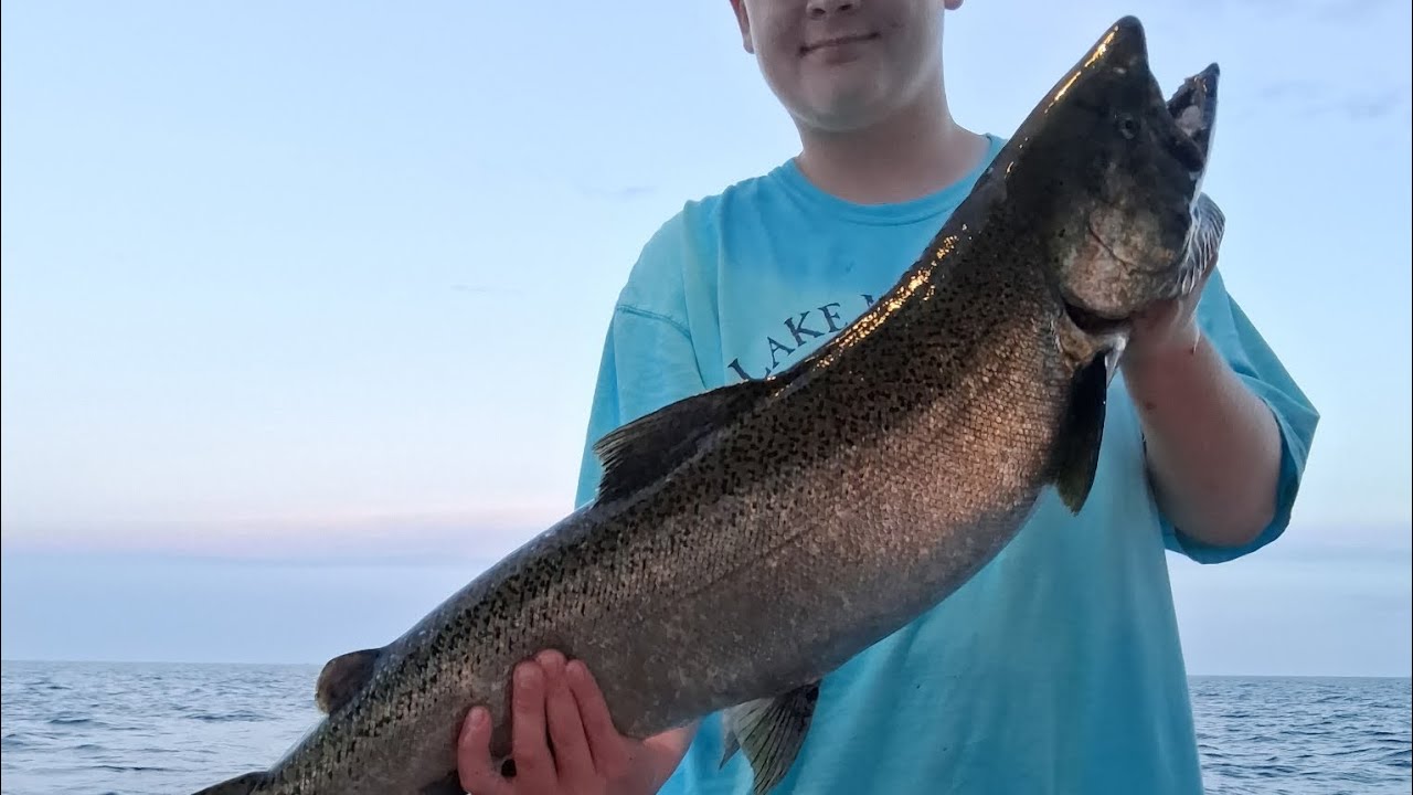 Big king salmon on Dragon slayer with a pickled sunshine fly 