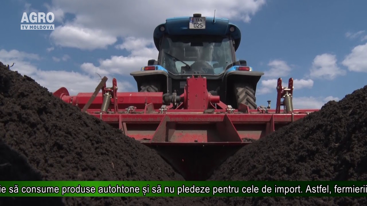 AGRO TV News – Cum obținem cartofi de calitate superioară
