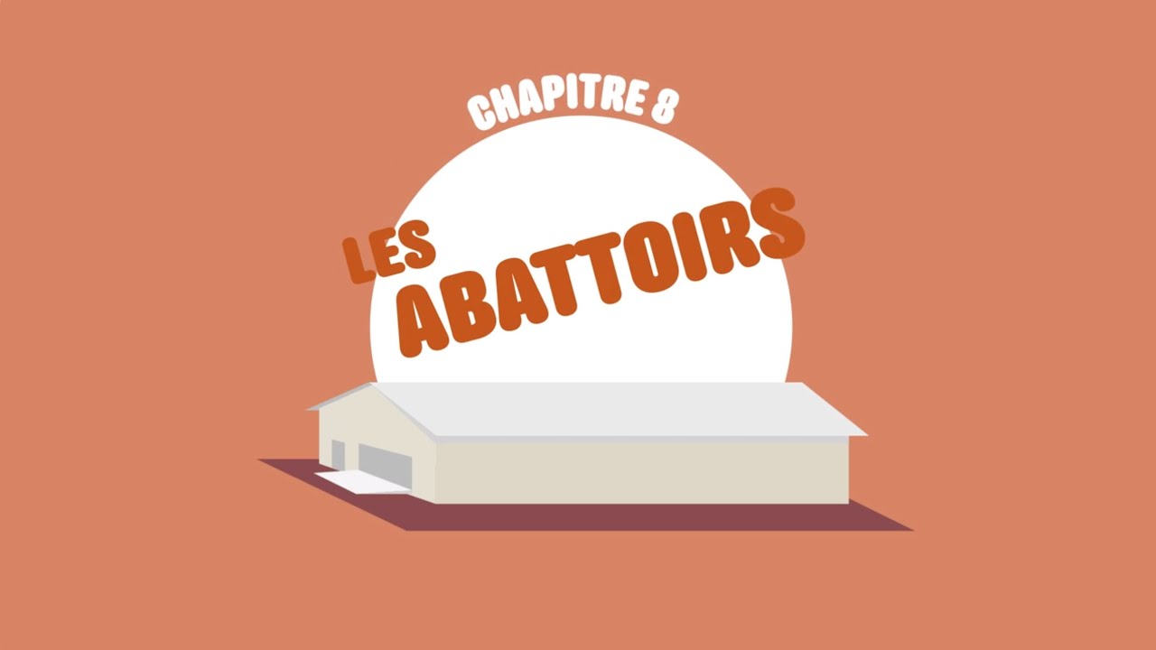 L214 EDUCATION - Nourrir l'humanit&eacute; #8 : Les abattoirs / (dessin anim&eacute;)