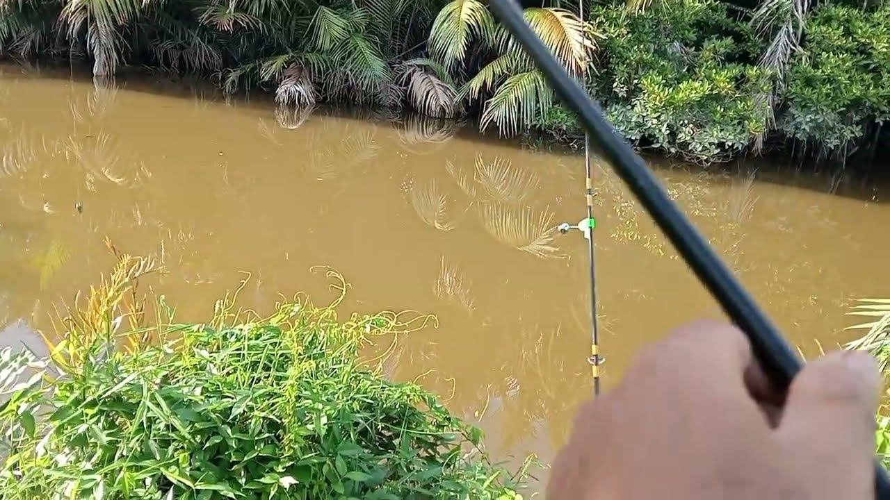 setelah beberapa jam perjalanan sampai jugak di spot mancing ikan 