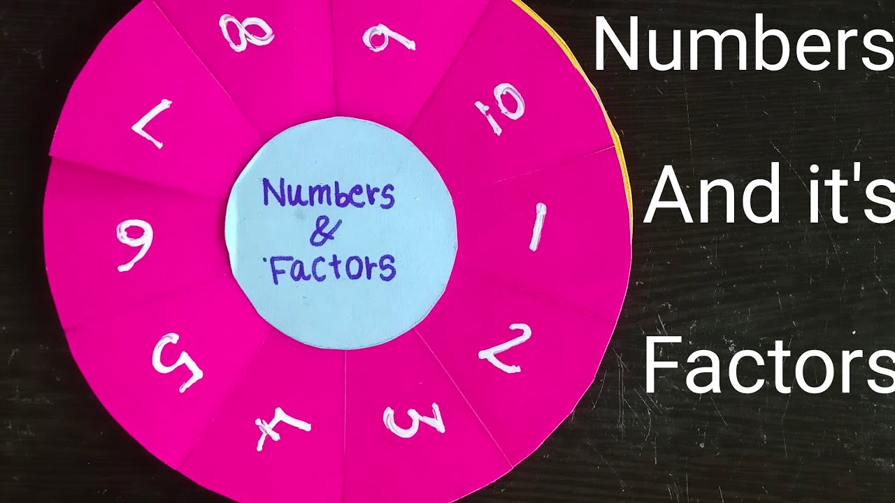 Numbers & its Factors | Maths working model | Maths project ideas | Math school project | Maths TLM