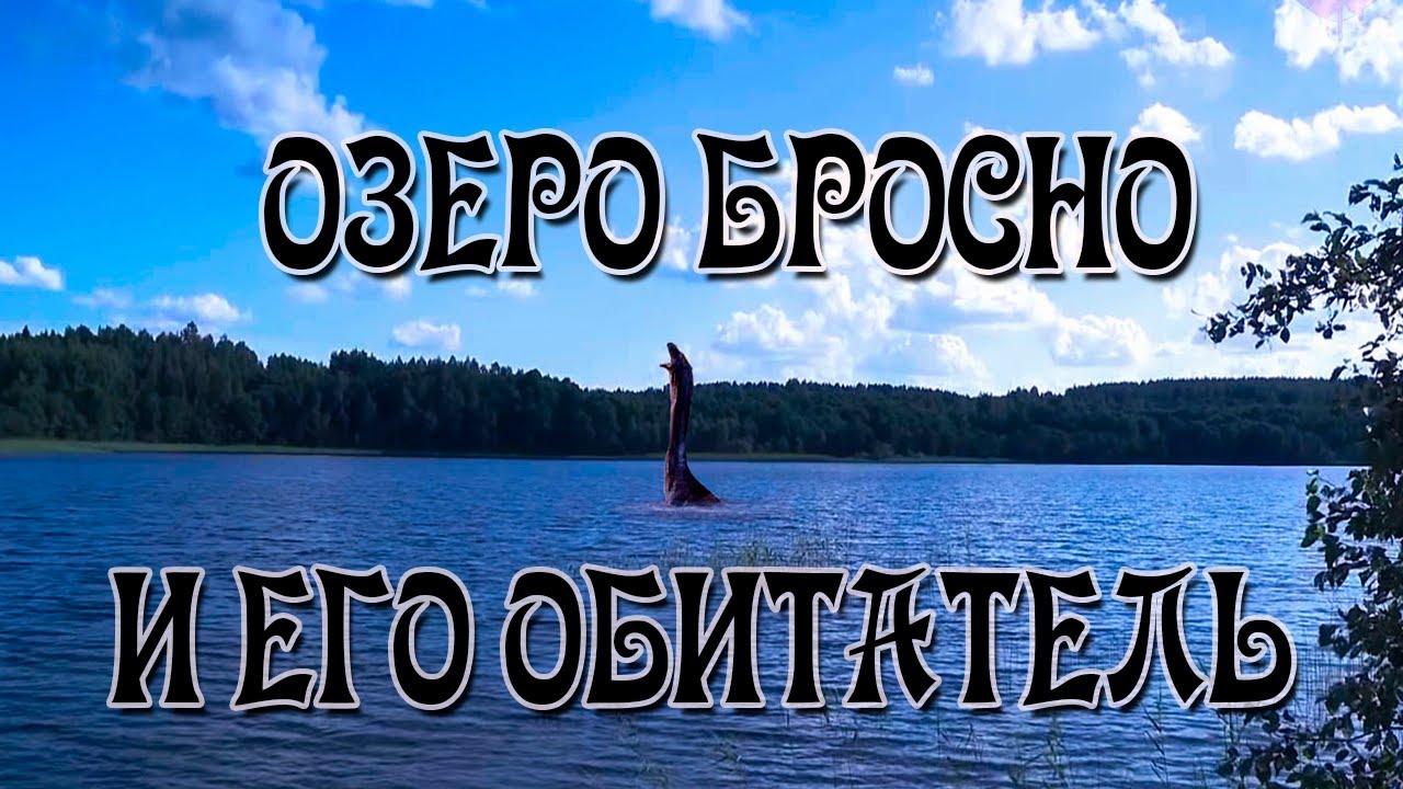 Кто Обитает в Озере Бросно? Кто Такой Бросня?