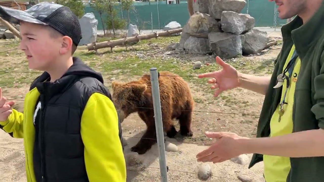 ZOO, ZOO Kontakt, Liptovský Mikuláš, Medvede, Tigre..