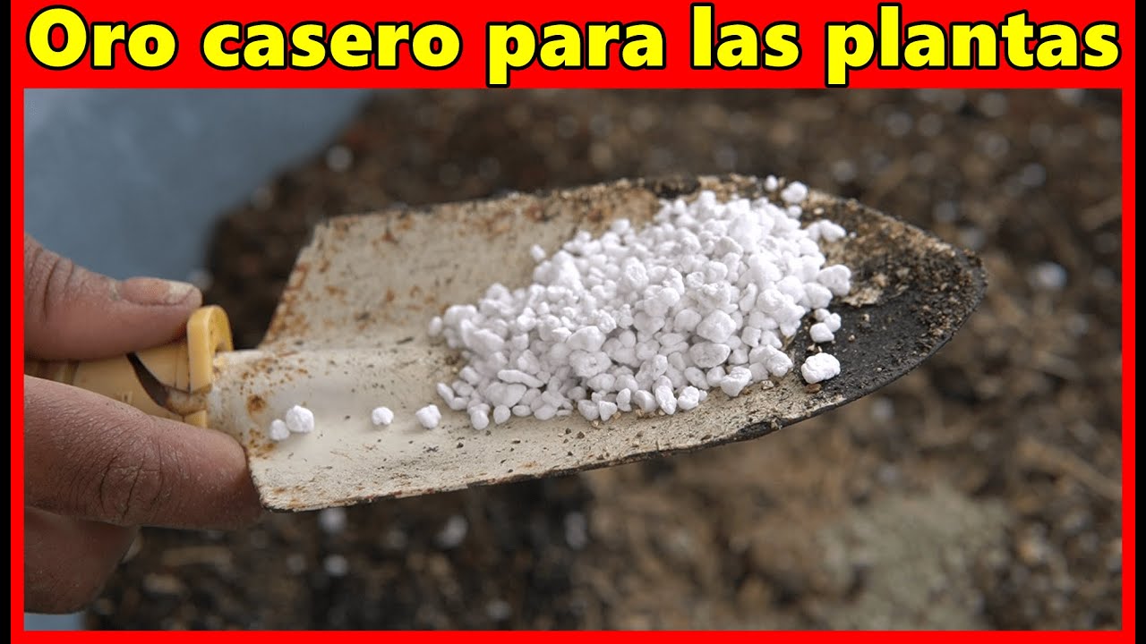 Esto es vitamina para las plantas el sustrato màs caro del vivero
