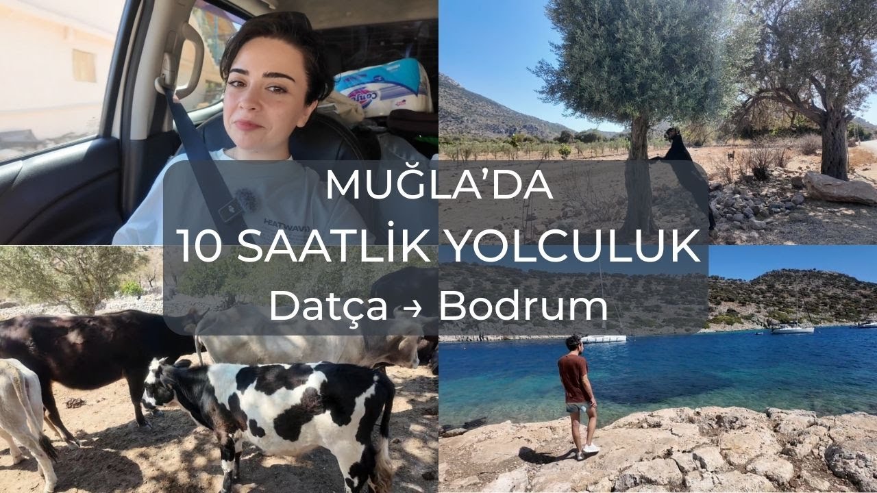 Dat&ccedil;a&rsquo;dan Bodrum&rsquo;a 🚗 10 Saatte Kamp Yeri Arayışı ⛺️ | Yol Vlog