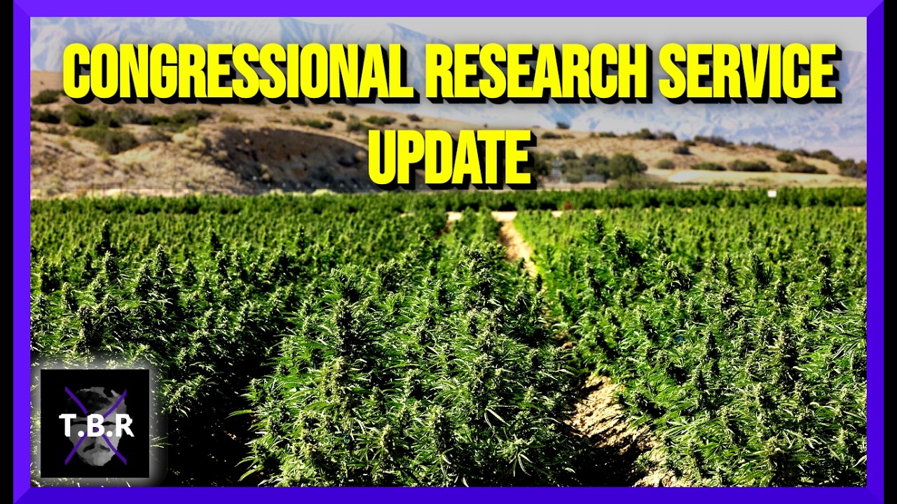 CRS Releases Update on Marijuana Rescheduling and Hemp Ban