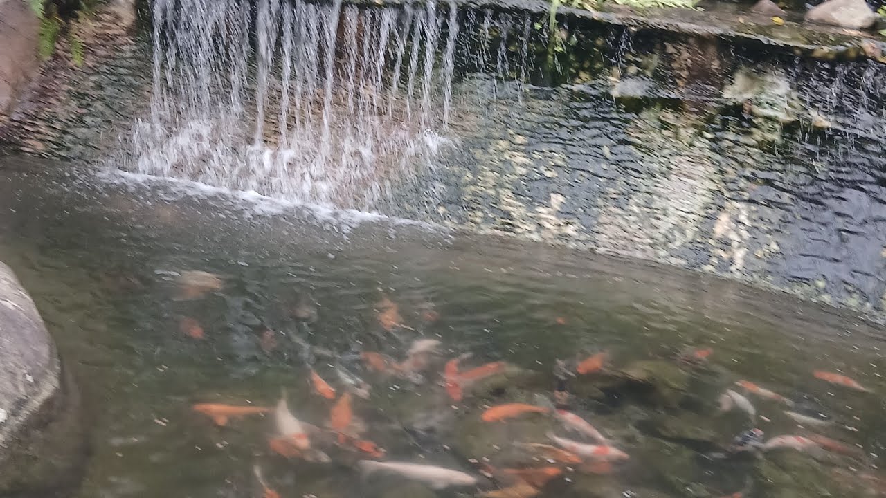 Suối bên biển Vũng Tàu #travel #bien #vietnam 