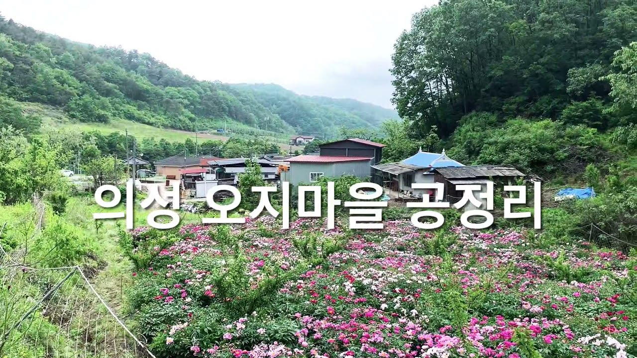 [의성 오지마을] 옛날 고려장하던곳 깊고 깊은 골짜기 공정리 용소마을, 삼학마을