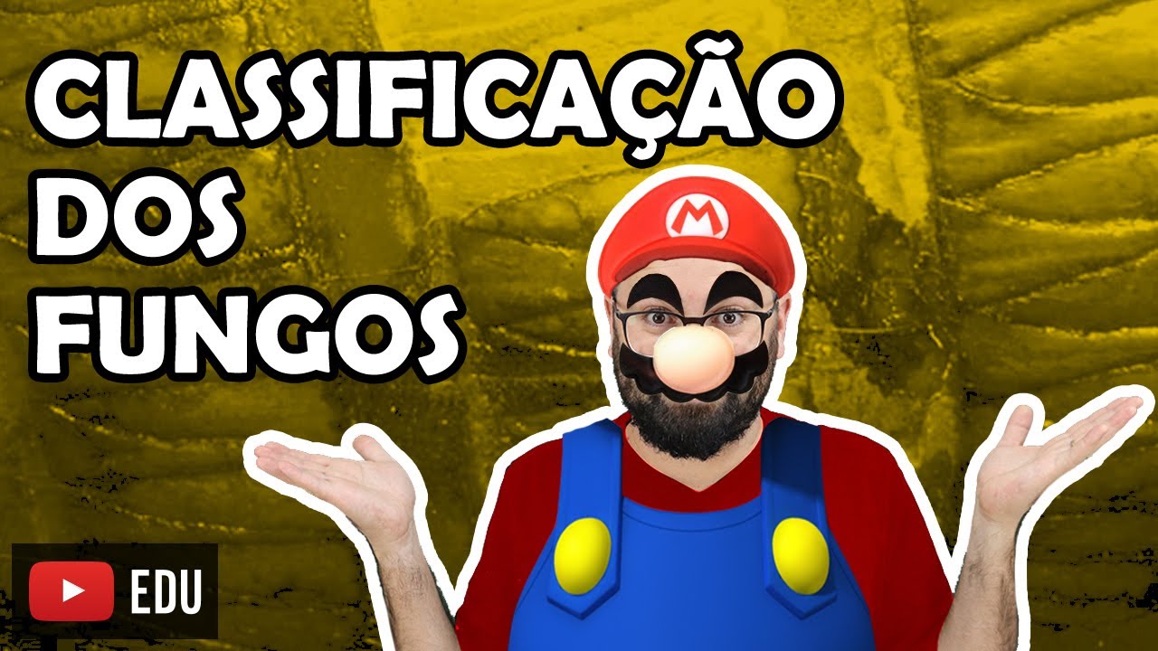 Classifica&ccedil;&atilde;o dos Fungos - Aula 10 - M&oacute;dulo IV: Microbiologia, Fungos e Protistas | Prof Gui