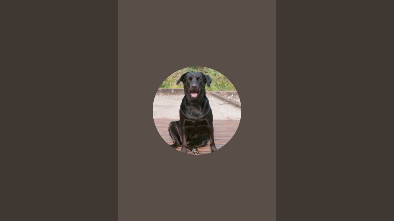 labra honey  is live!