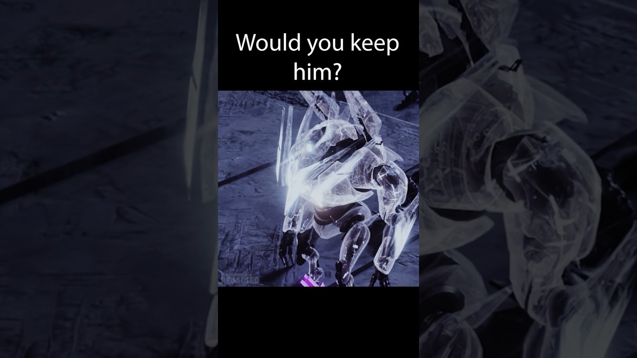Малыш Атеон #destiny2 #анимация #destiny2memes