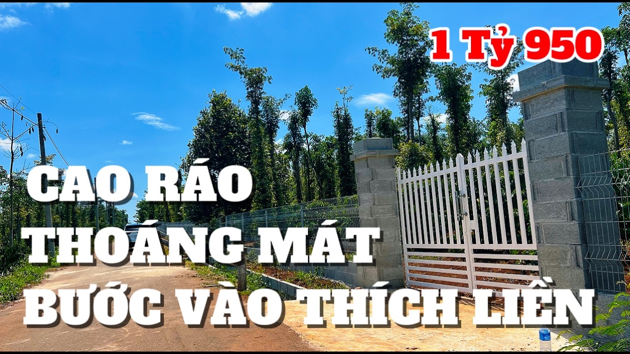 Đất Vườn cao ráo thoáng mát sổ đẹp đường nhựa 1751m2 quy hoạch đất ở đã xây rào mà giá chỉ 1Tỷ950.