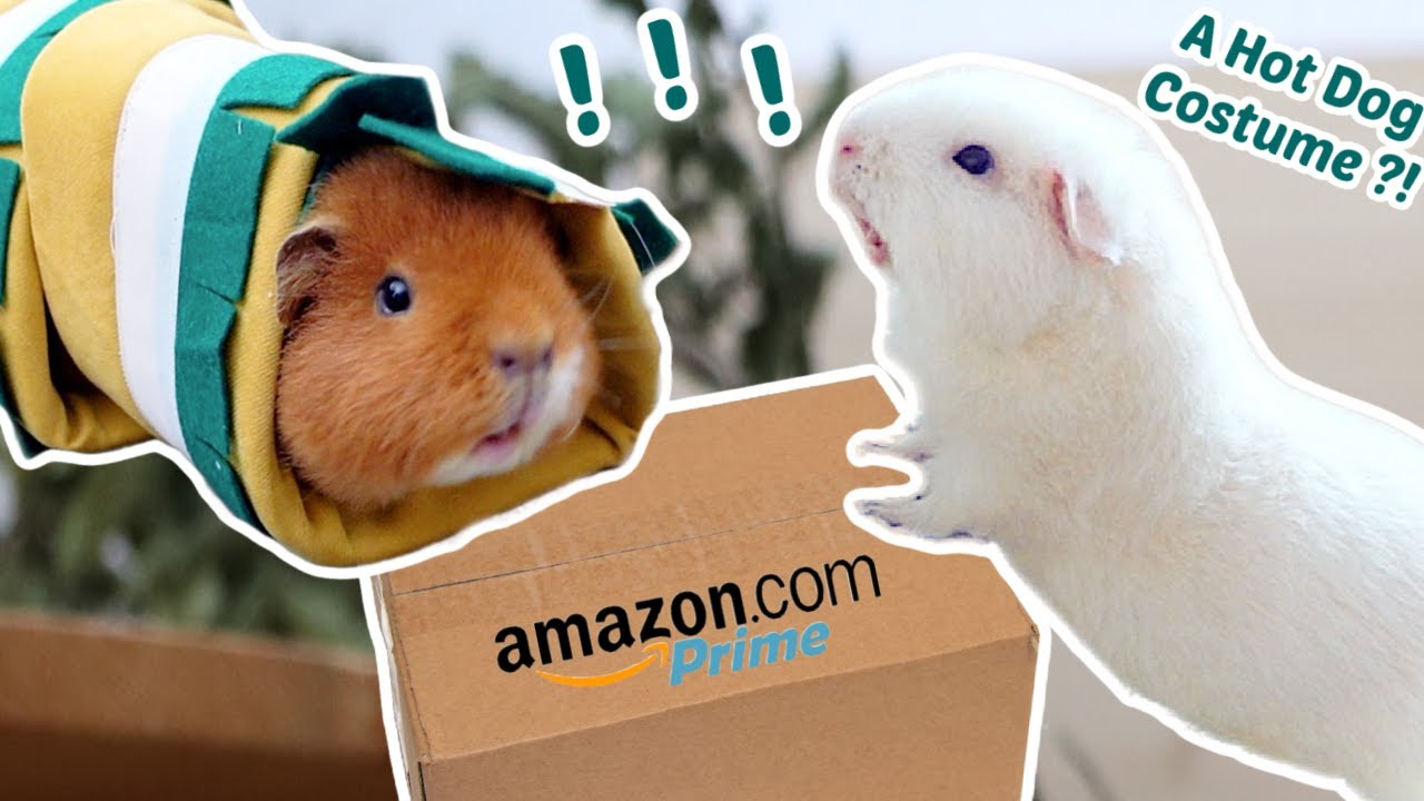 Мои морские свинки тестируют популярные товары Amazon!