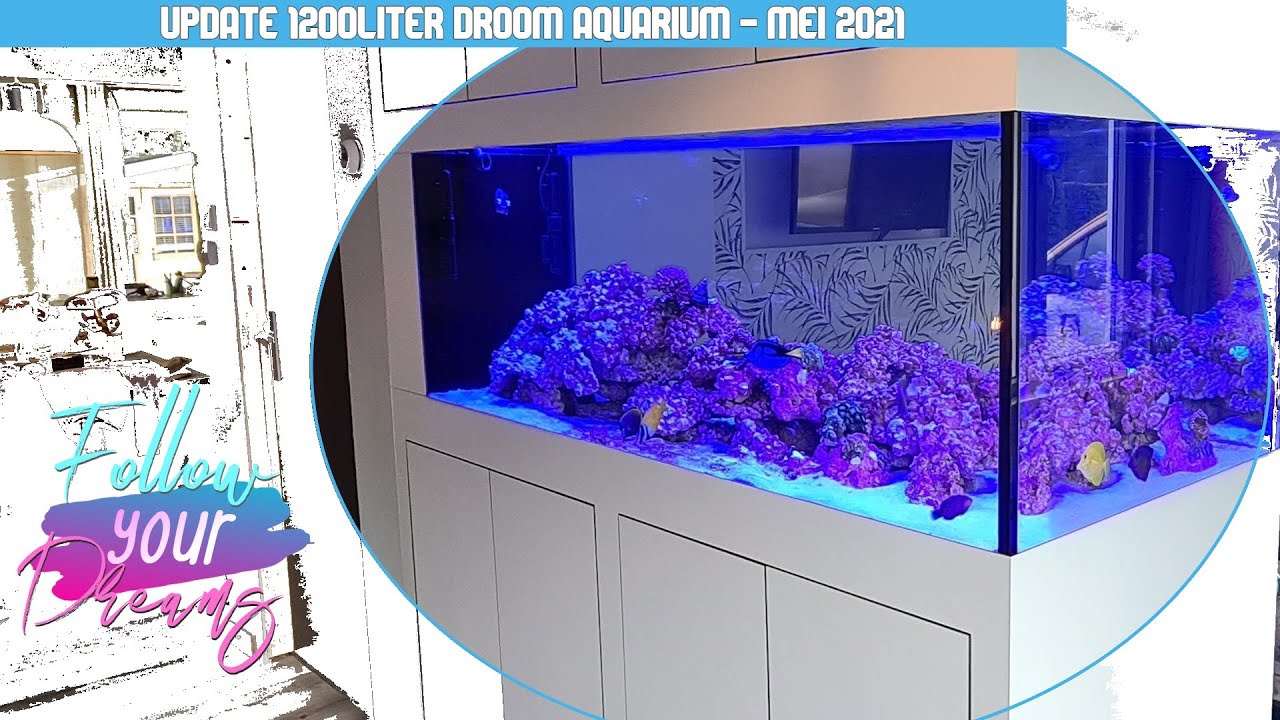DROOM Zoutwater aquarium UPDATE