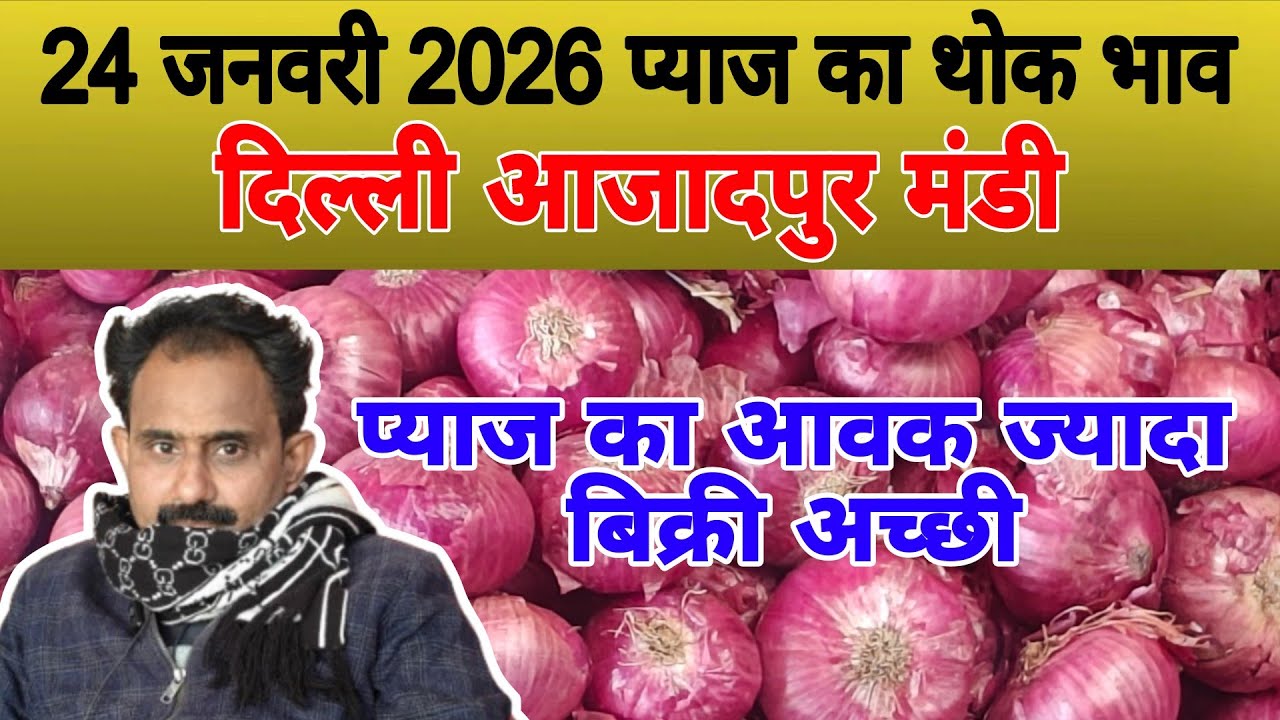 प्याज का आवक ज्यादा बिक्री अच्छी | Today onion price | pyaj ka bhav #pyaj #onion #mandirates