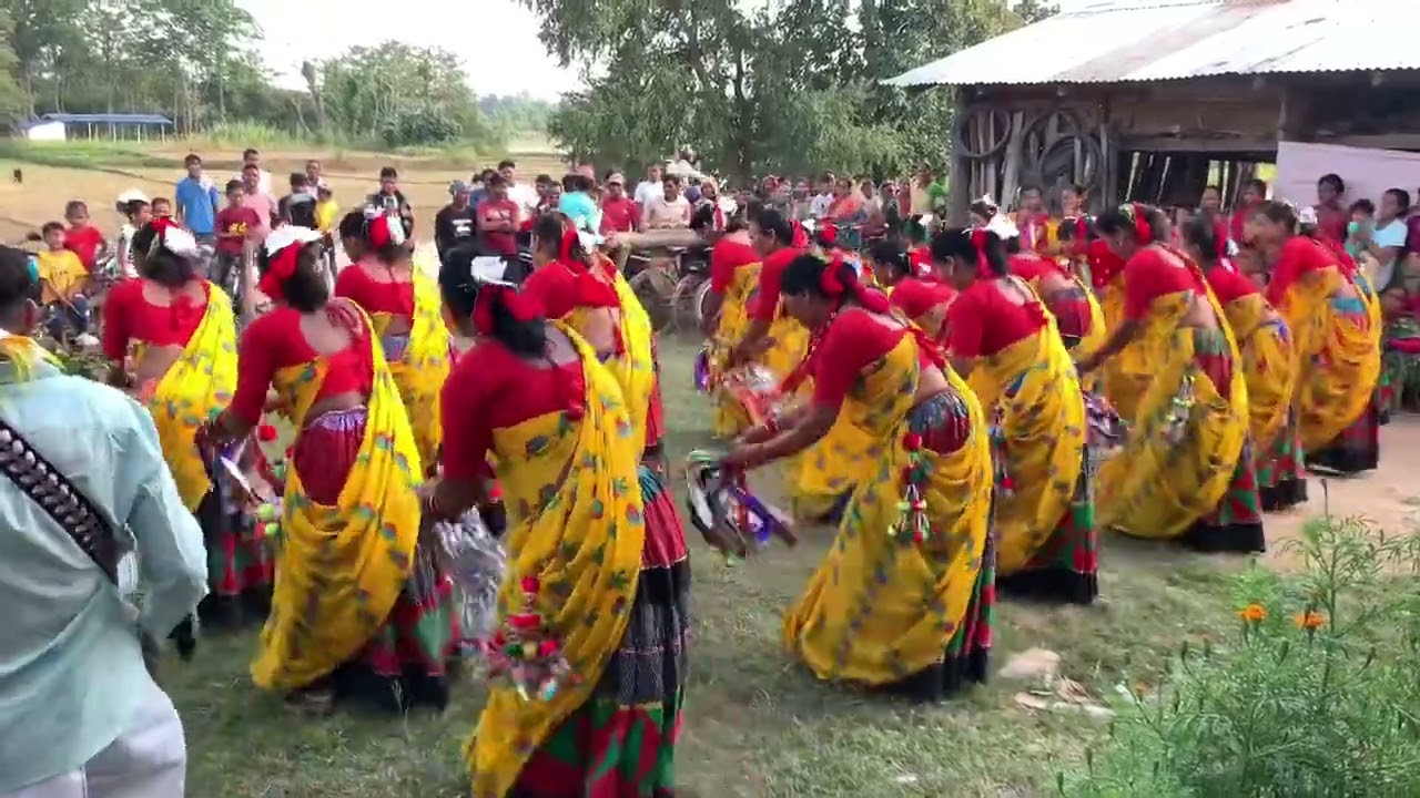 Sakhiya nach 2080 Dashain Tharu home stay gau bhada