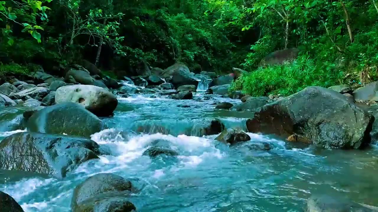 Relaxing Nature Sounds for Deep Sleep, Stream Sounds, Forest Sounds