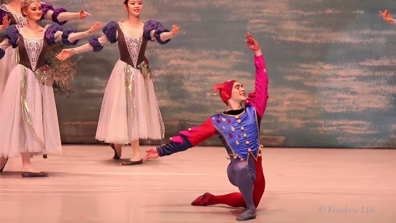 Schwanensee  - Meistersingerhalle N&uuml;rnberg (2017)
