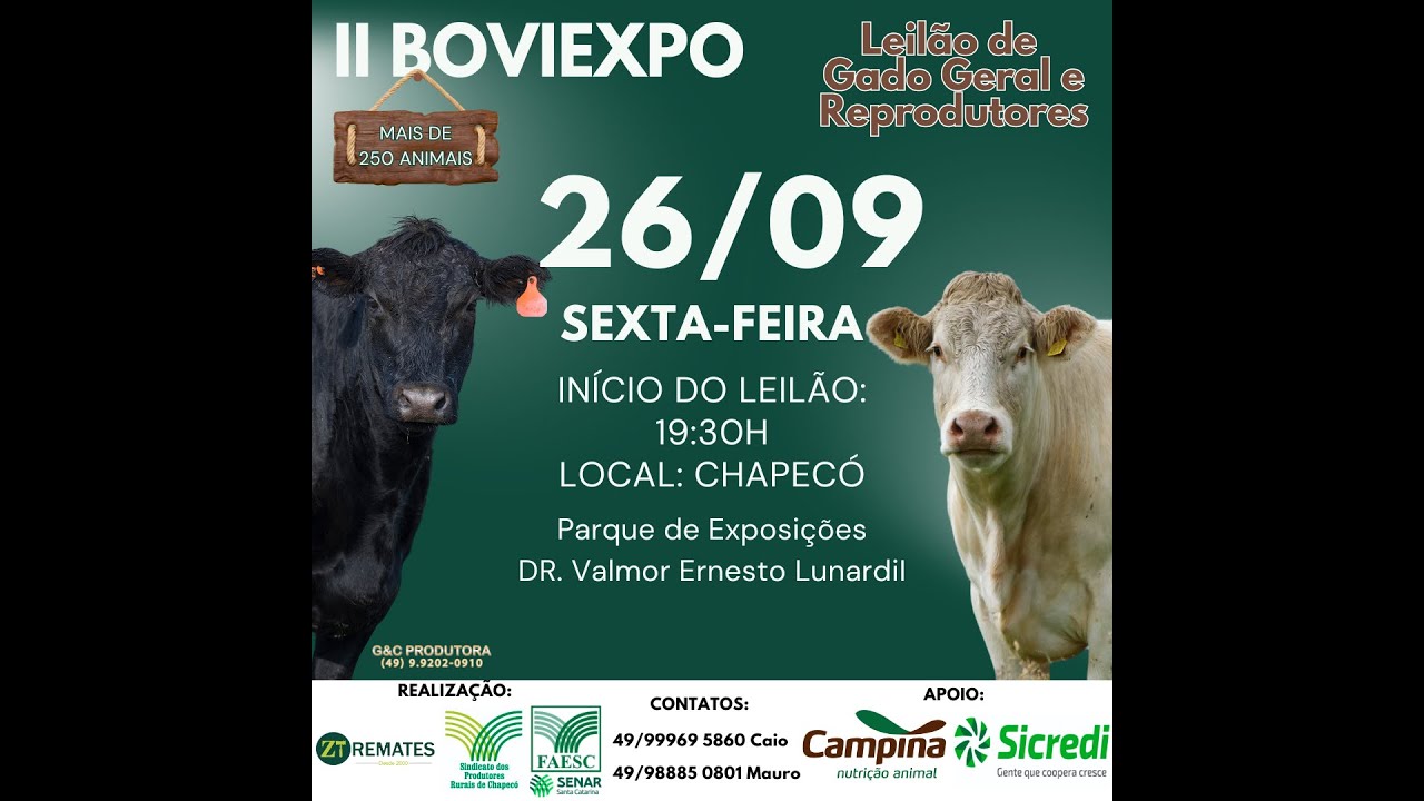 BOVIEXPO 2&ordf; edi&ccedil;&atilde;o, Chapec&oacute;, Leil&atilde;o de gado geral e Reprodutores, dia 26/09, sexta-feira. 19:30 hs