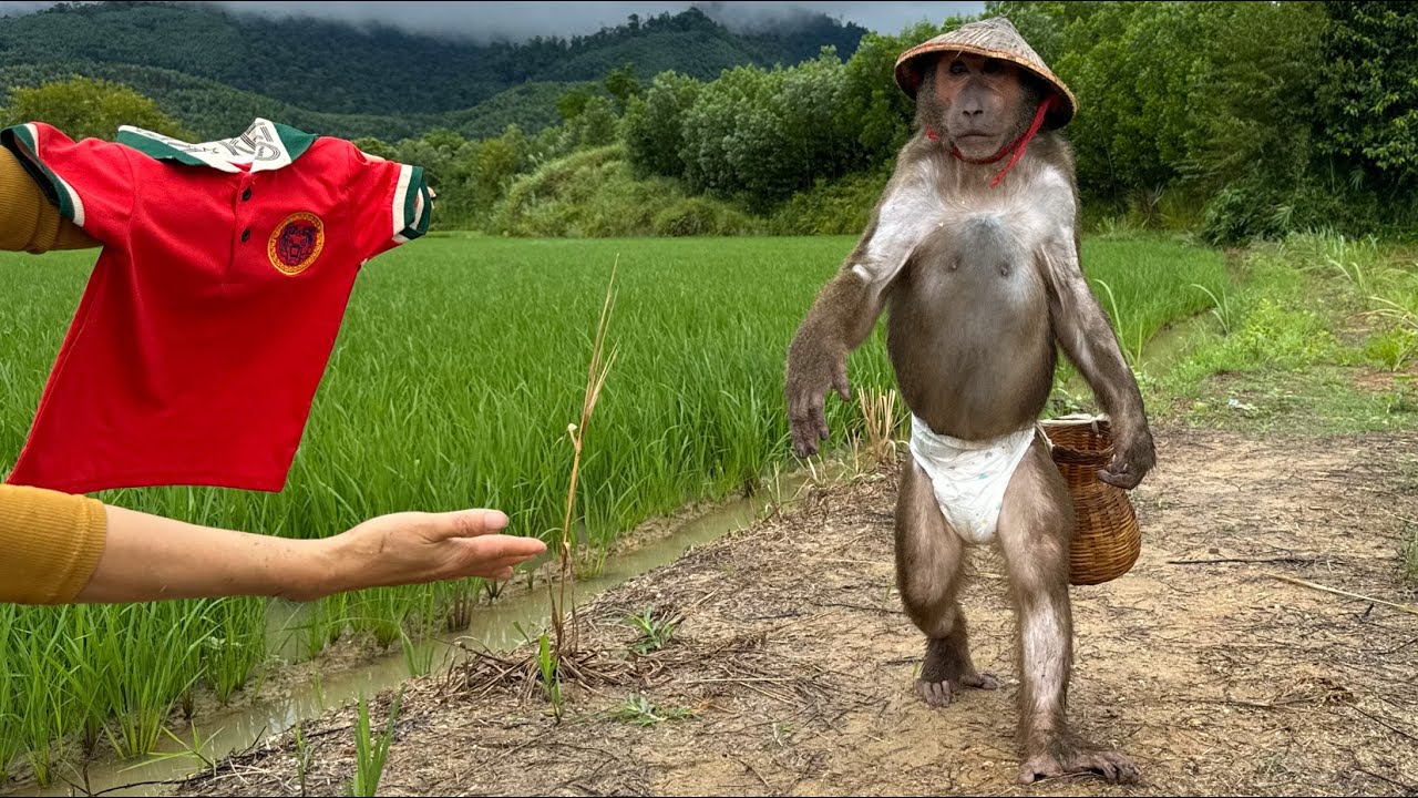 ABU received surprise gift after returning from catching snails the field