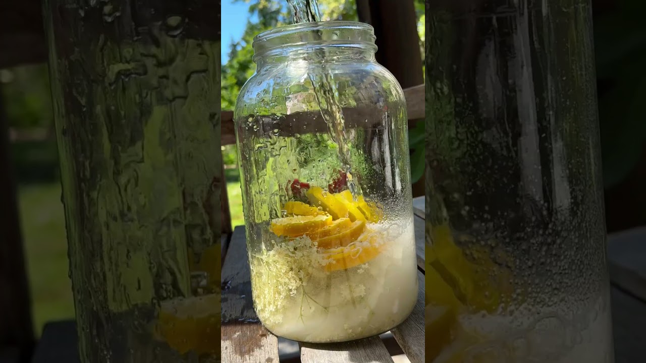 How to Make Romanian Elderflower Drink (Socata)