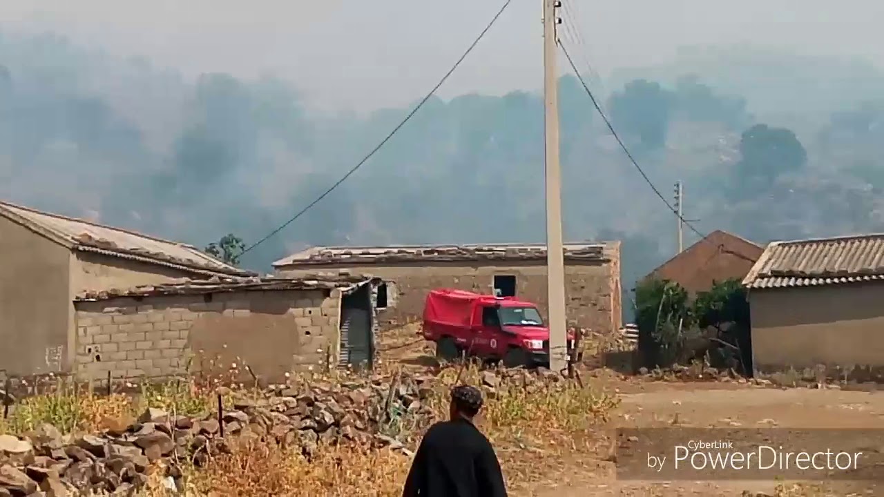 الحماية المدنية سوق اهراس تتصدى لحريق غابة مهول بغابة بومزران عين الزانة