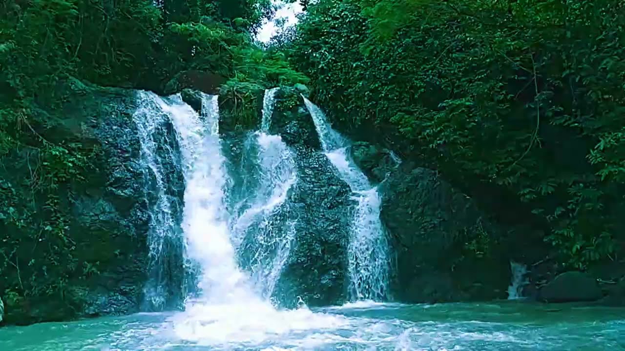 Calm Waterfall in Forest | Waterfall with Sound | Ambiance for Restful Sleep Relaxing Nature Sounds