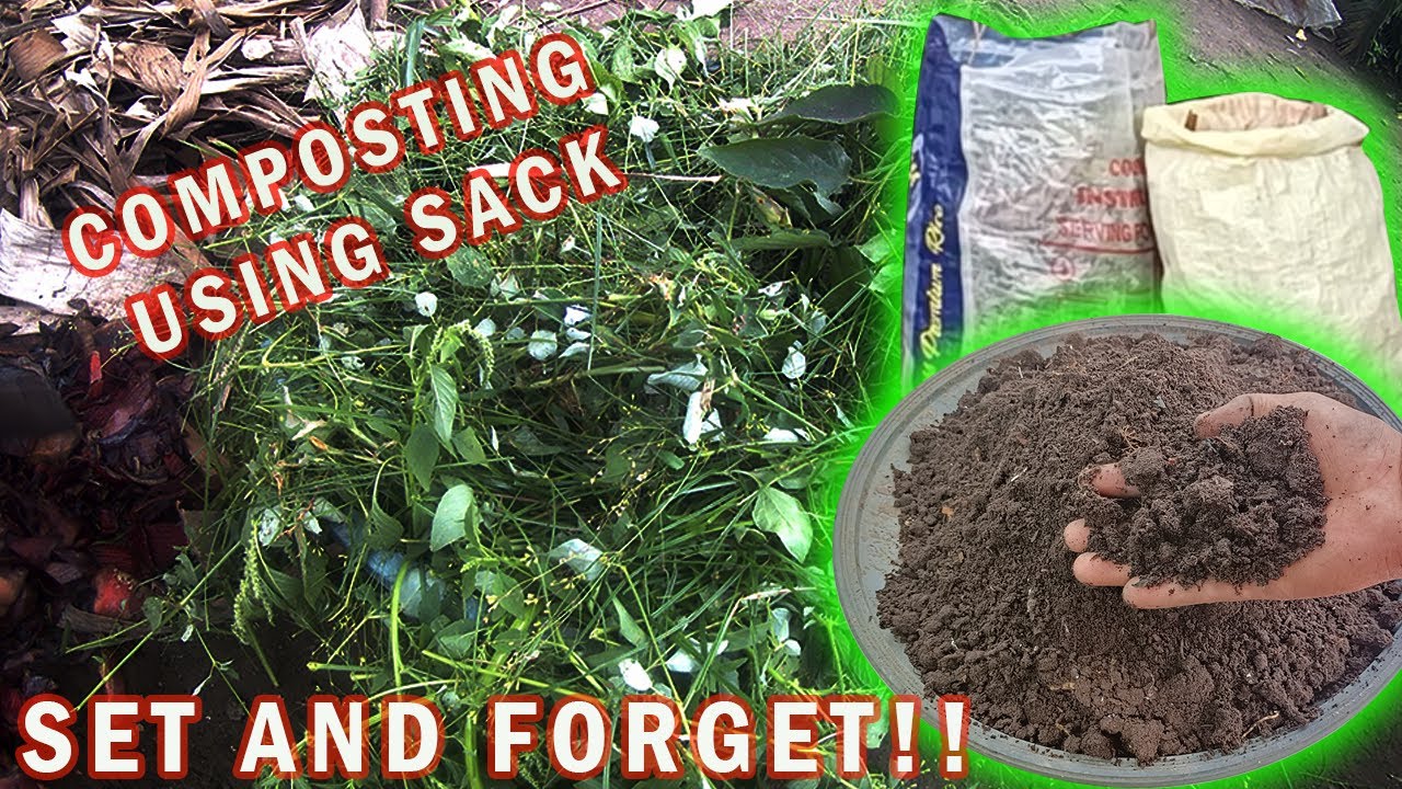 PAANO GUMAWA NG COMPOST GAMIT ANG SAKO / HOW TO MAKE COMPOST USING SACK