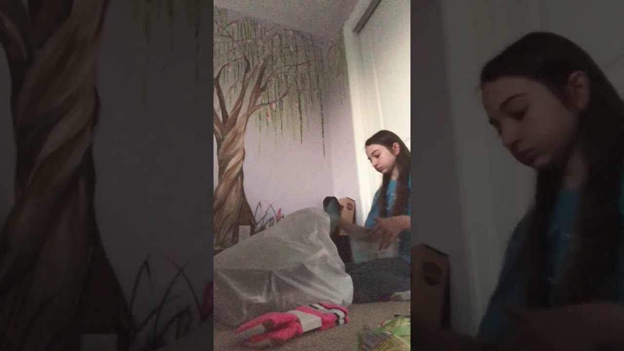 Cleaning my room time lapse