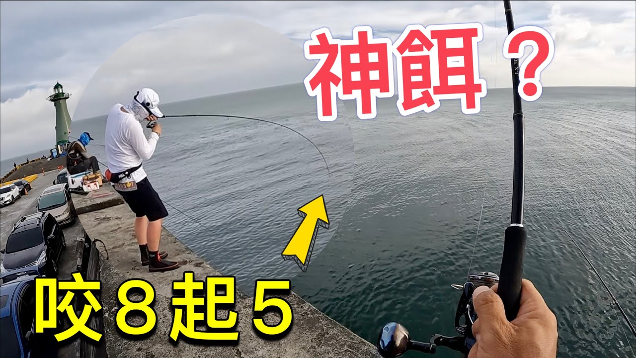 這新手偷用什麼神餌？短短一小時咬8起5開外掛！台中港北堤 #赫馬士 #釣魚 #鐵板路亞