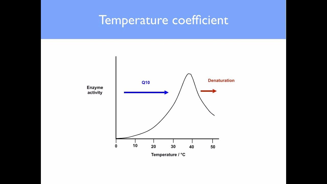 AS level. C.4 Effect of temperature and pH on enzyme activity