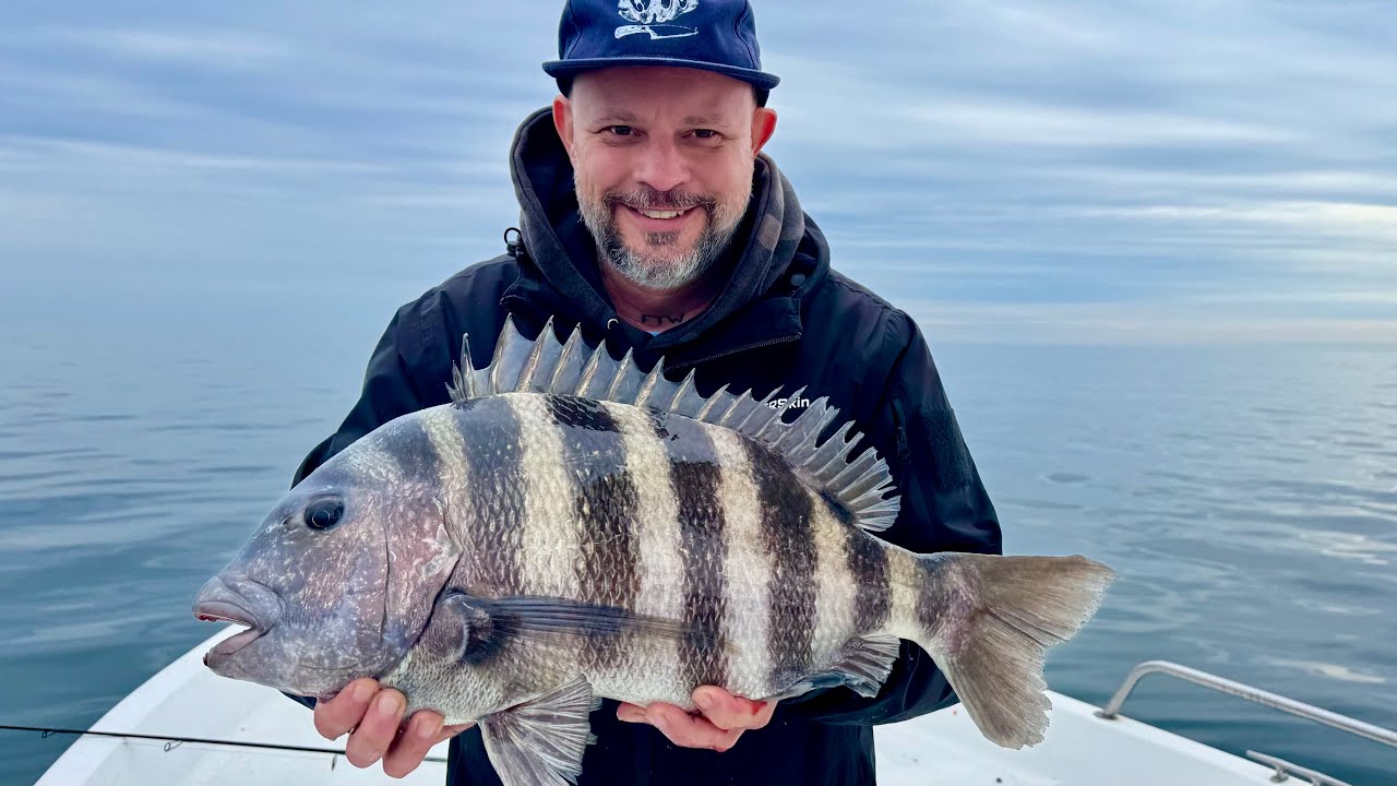 Charleston South Carolina Sheepshead Catch and Cook