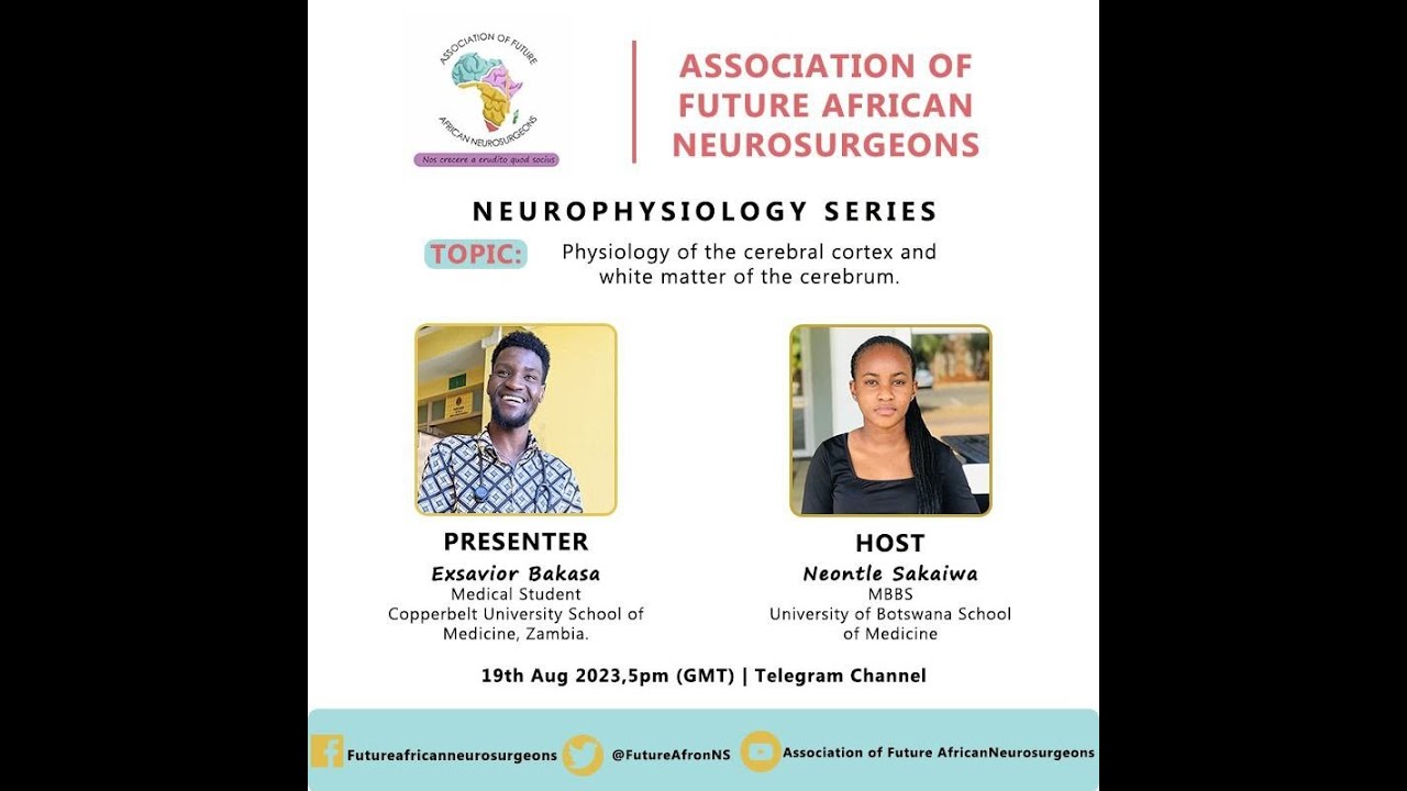 Physiology of the Cerebral cortex and white matter of the cerebrum