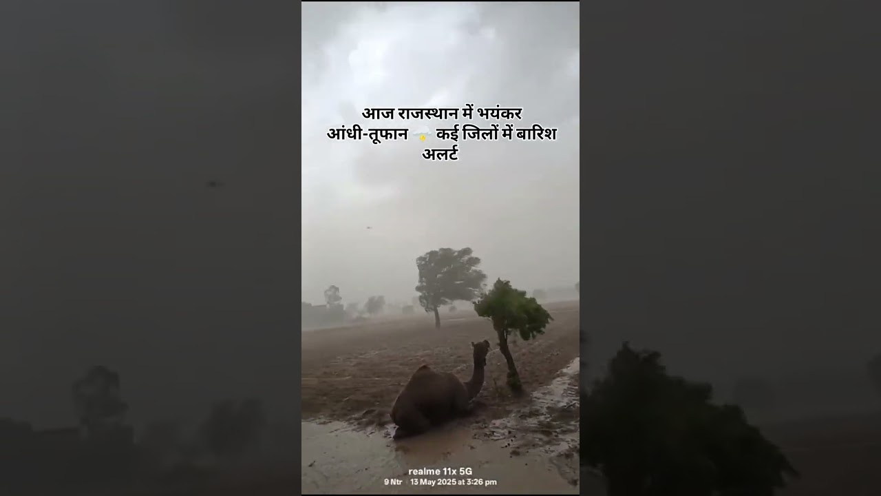 A big rain system is active in Rajasthan today #WeatherForecast #RainStorm #RajasthanWeather