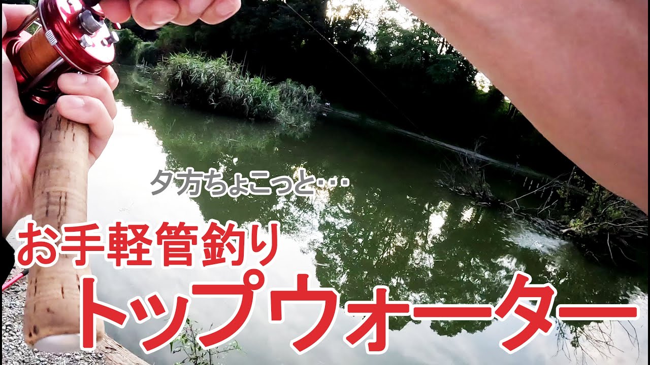 【トップウォーター】トップウォーター初心者さんは夕方にバスの管釣りに行ったらたぶん釣れるよってお話。　#釣パラダイス #ヘドン #トップウォーター #Ambassadeur #フェンウィック