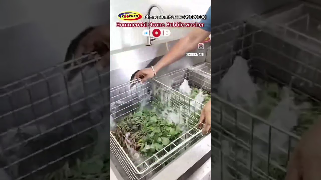 Commercial Vegetable Bubble Washer & Ozone Disinfection Machine | Bulk Vegetables Cleaning & washer