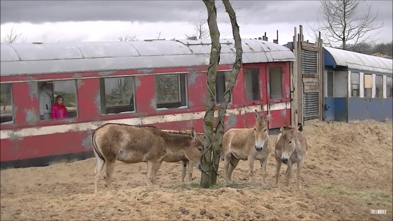 Serenga Wildlands Adventure Zoo Emmen 2016