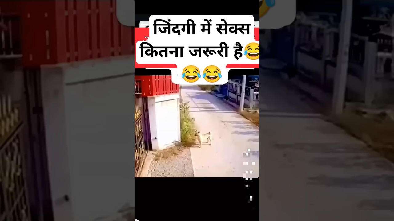 funny dog style #funny #comedy #prank #memes #love #bollywood #music #dance #fashion #trending