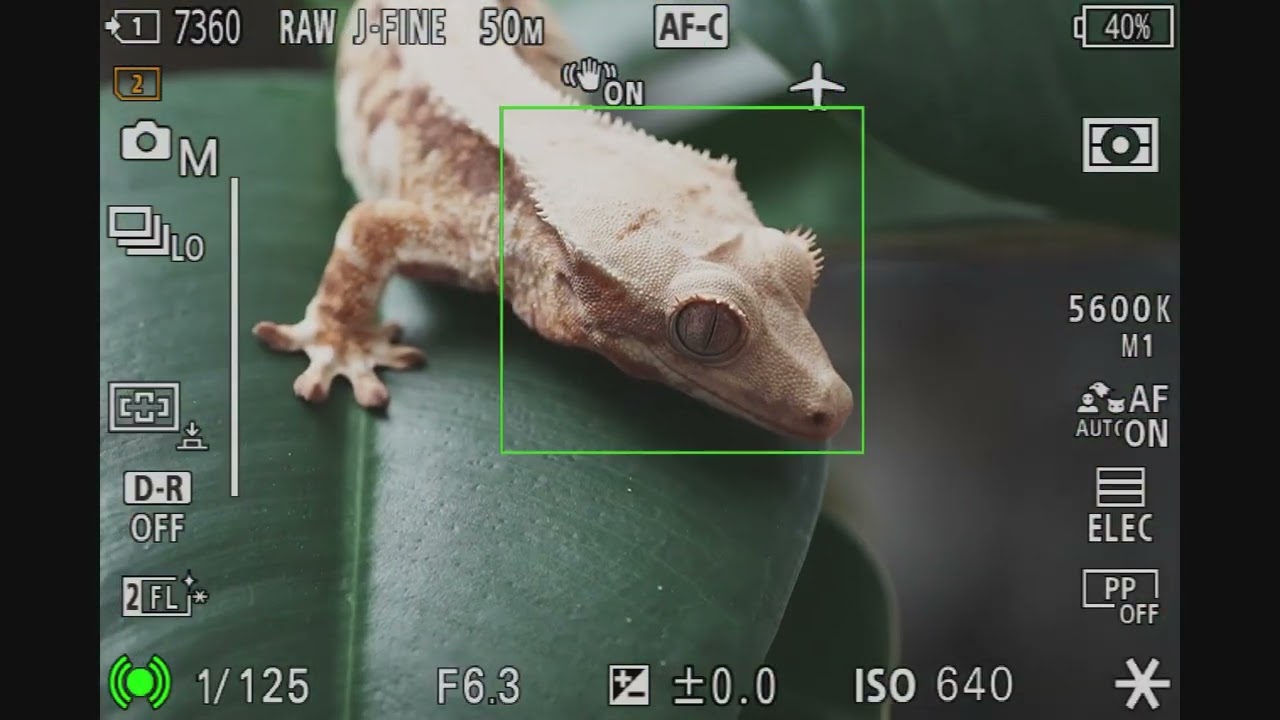[SLRCLUB Brand Review] SONY FE 100mm F2.8 Macro GM OSS - AF TEST
