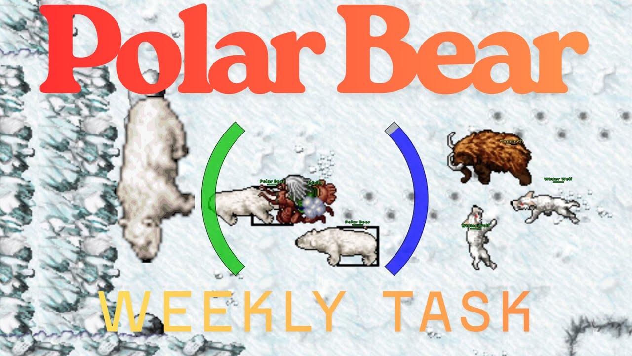 Tibia 7x Polar Bear Svargrond Weekly Task Bestiary #tibia #tibia2026  #tibiaglobal #weeklytask