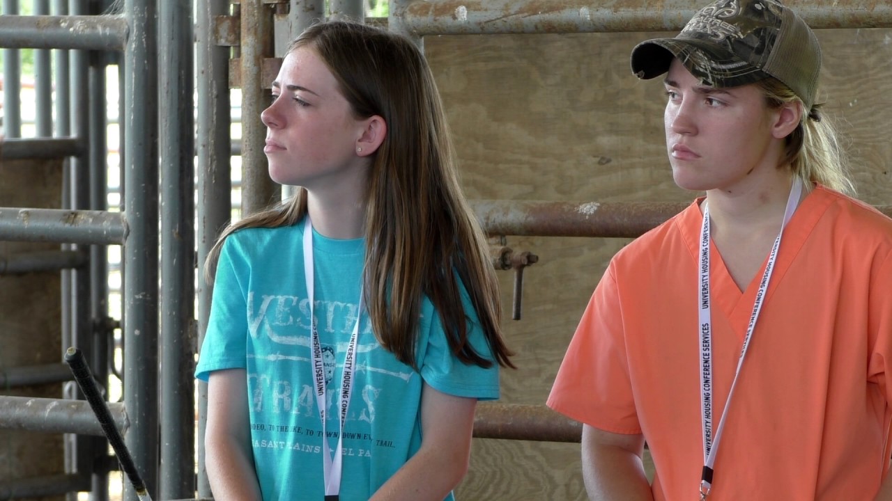 Arkansas 4-H Veterinary Science Program