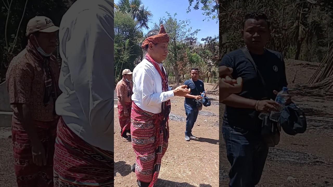 ACARA RITUAL ADAT BUPATI  TTU DRS DAVID JUANDI #DITUNE Biboki