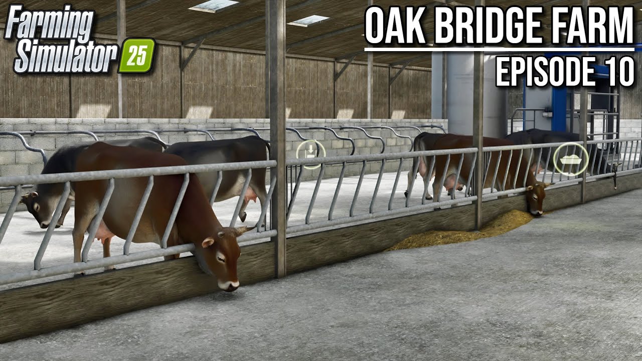 100 Cows Delivered! Time to Feed Them! | Farming Simulator 25