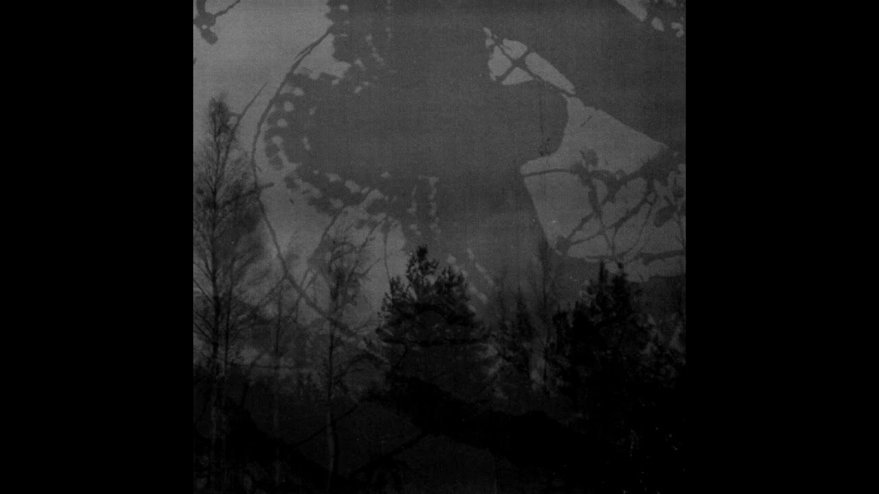 Inmitten Des Waldes & Mortualia - Inmitten Des Waldes  Mortualia (Split) (2009)