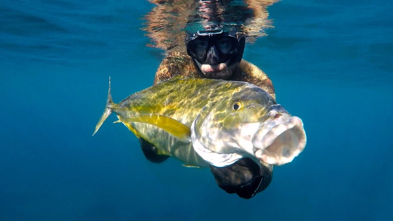 Spearfishing Madeira Island #5